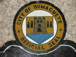 city of Negros island