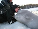 поцелуй